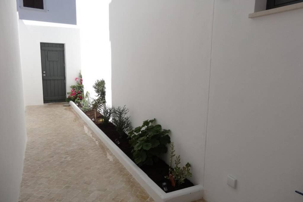 Ti Antonieta Villa Tavira Ngoại thất bức ảnh